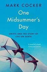 One Midsummer's Day: Swifts and the Story of Life on Earth Cover des Buches One Midsummer's Day: Swifts and the Story of Life on Earth (ISBN: 9781787332799)