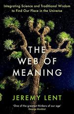 The Web of Meaning: Integrating Science and Traditional Wisdom to Find Our Place in the Universe Cover des Buches The Web of Meaning: Integrating Science and Traditional Wisdom to Find Our Place in the Universe (ISBN: 9781788165655)