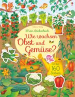 Mein Stickerbuch: Wie wachsen Obst und Gemüse? Cover des Buches Mein Stickerbuch: Wie wachsen Obst und Gemüse? (ISBN: 9781789410563)