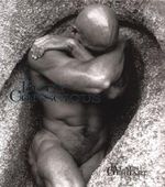 Body Conscious Cover des Buches Body Conscious (ISBN: 9781890377083)