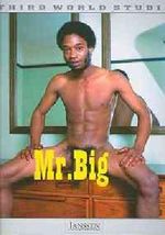 Mr. Big: Third World Studio, Vol. 1 Cover des Buches Mr. Big: Third World Studio, Vol. 1 (ISBN: 9781919901404)