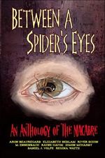 Between A Spider's Eyes: an anthology of the macabre Cover des Buches Between A Spider's Eyes: an anthology of the macabre (ISBN: 9781951840525)