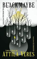 The Black Maybe: Liminal Tales Cover des Buches The Black Maybe: Liminal Tales (ISBN: 9781954321700)