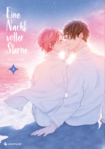 Eine Nacht voller Sterne – Band 3 (Finale) Cover des Buches Eine Nacht voller Sterne – Band 3 (Finale) (ISBN: 9782889513161)