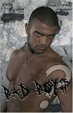Bad Boys Cover des Buches Bad Boys (ISBN: 9782952496223)