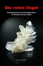 Die roten Engel Cover des Buches Die roten Engel (ISBN: 9783033023284)