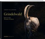 Grindelwald Cover des Buches Grindelwald (ISBN: 9783038184874)
