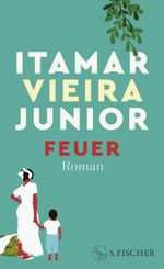 Feuer Cover des Buches Feuer (ISBN: 9783103976274)