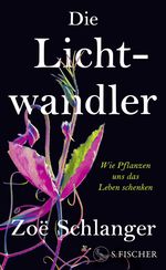 Die Lichtwandler Cover des Buches Die Lichtwandler (ISBN: 9783103976601)