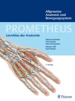 PROMETHEUS Allgemeine Anatomie und Bewegungssystem Cover des Buches PROMETHEUS Allgemeine Anatomie und Bewegungssystem (ISBN: 9783131395238)