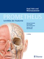 PROMETHEUS Kopf, Hals und Neuroanatomie Cover des Buches PROMETHEUS Kopf, Hals und Neuroanatomie (ISBN: 9783131395436)