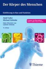 Der Körper des Menschen Cover des Buches Der Körper des Menschen (ISBN: 9783133297165)