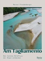 Am Tagliamento Cover des Buches Am Tagliamento (ISBN: 9783222137259)