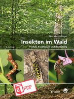 Insekten im Wald Cover des Buches Insekten im Wald (ISBN: 9783258482170)