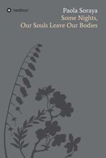 Some Nights Cover des Buches Some Nights (ISBN: 9783347260153)