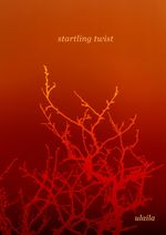 startling twist Cover des Buches startling twist (ISBN: 9783347790100)