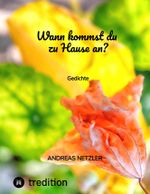 Wann kommst du zu Hause an? Cover des Buches Wann kommst du zu Hause an? (ISBN: 9783347827103)