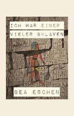 Ich war einer vieler Sklaven Cover des Buches Ich war einer vieler Sklaven (ISBN: 9783347909199)