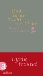 Und in der Nacht ein Licht Cover des Buches Und in der Nacht ein Licht (ISBN: 9783351033187)