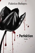 Perfektion Cover des Buches Perfektion (ISBN: 9783384035998)