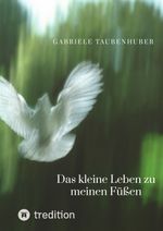 Das kleine Leben zu meinen Füßen Cover des Buches Das kleine Leben zu meinen Füßen (ISBN: 9783384056726)