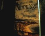 Sturmtage Cover des Buches Sturmtage (ISBN: 9783404124831)