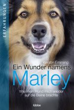 Ein Wunder namens Marley Cover des Buches Ein Wunder namens Marley (ISBN: 9783404616862)