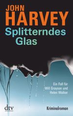 Splitterndes Glas Cover des Buches Splitterndes Glas (ISBN: 9783423213226)