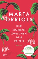 Der Moment zwischen den Zeiten Cover des Buches Der Moment zwischen den Zeiten (ISBN: 9783423219785)