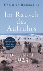 Im Rausch des Aufruhrs Cover des Buches Im Rausch des Aufruhrs (ISBN: 9783423352024)