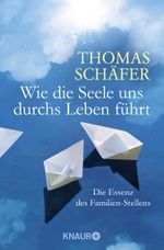 Wie die Seele uns durchs Leben führt Cover des Buches Wie die Seele uns durchs Leben führt (ISBN: 9783426875353)
