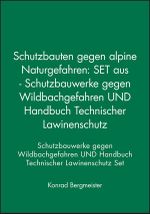 Schutzbauten gegen alpine Naturgefahren Cover des Buches Schutzbauten gegen alpine Naturgefahren (ISBN: 9783433030929)