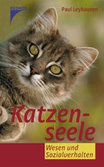Katzenseele Cover des Buches Katzenseele (ISBN: 9783440098646)