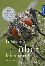 Insekten überlebensgroß Cover des Buches Insekten überlebensgroß (ISBN: 9783440151501)