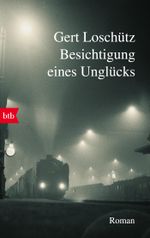 Besichtigung eines Unglücks Cover des Buches Besichtigung eines Unglücks (ISBN: 9783442773053)