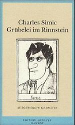 Grübelei im Rinnstein Cover des Buches Grübelei im Rinnstein (ISBN: 9783446199286)
