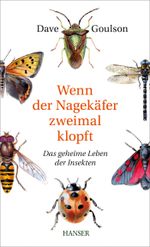 Wenn der Nagekäfer zweimal klopft Cover des Buches Wenn der Nagekäfer zweimal klopft (ISBN: 9783446447004)