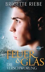 Feuer und Glas - Die Verschwörung Cover des Buches Feuer und Glas - Die Verschwörung (ISBN: 9783453267398)