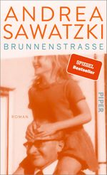 Brunnenstraße Cover des Buches Brunnenstraße (ISBN: 9783492070539)