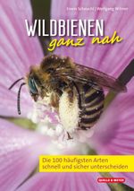 Wildbienen ganz nah Cover des Buches Wildbienen ganz nah (ISBN: 9783494018706)