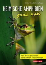Heimische Amphibien ganz nah Cover des Buches Heimische Amphibien ganz nah (ISBN: 9783494019321)