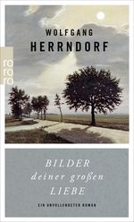 Bilder deiner großen Liebe Cover des Buches Bilder deiner großen Liebe (ISBN: 9783499269097)