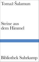 Steine aus dem Himmel Cover des Buches Steine aus dem Himmel (ISBN: 9783518225462)
