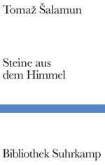 Steine aus dem Himmel Cover des Buches Steine aus dem Himmel (ISBN: 9783518775295)