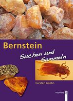 Bernstein Cover des Buches Bernstein (ISBN: 9783529054419)