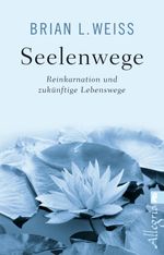 Seelenwege Cover des Buches Seelenwege (ISBN: 9783548746630)