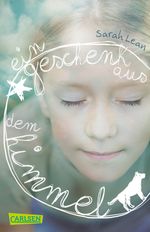 Ein Geschenk aus dem Himmel Cover des Buches Ein Geschenk aus dem Himmel (ISBN: 9783551313362)