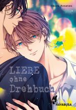 Liebe ohne Drehbuch Cover des Buches Liebe ohne Drehbuch (ISBN: 9783551624833)