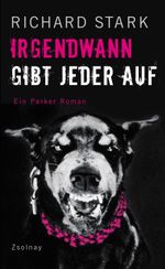 Irgendwann gibt jeder auf Cover des Buches Irgendwann gibt jeder auf (ISBN: 9783552058361)