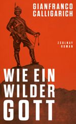Wie ein wilder Gott Cover des Buches Wie ein wilder Gott (ISBN: 9783552075108)